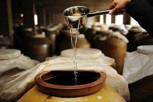 酒知识 液态法白酒的生产工艺讲解
